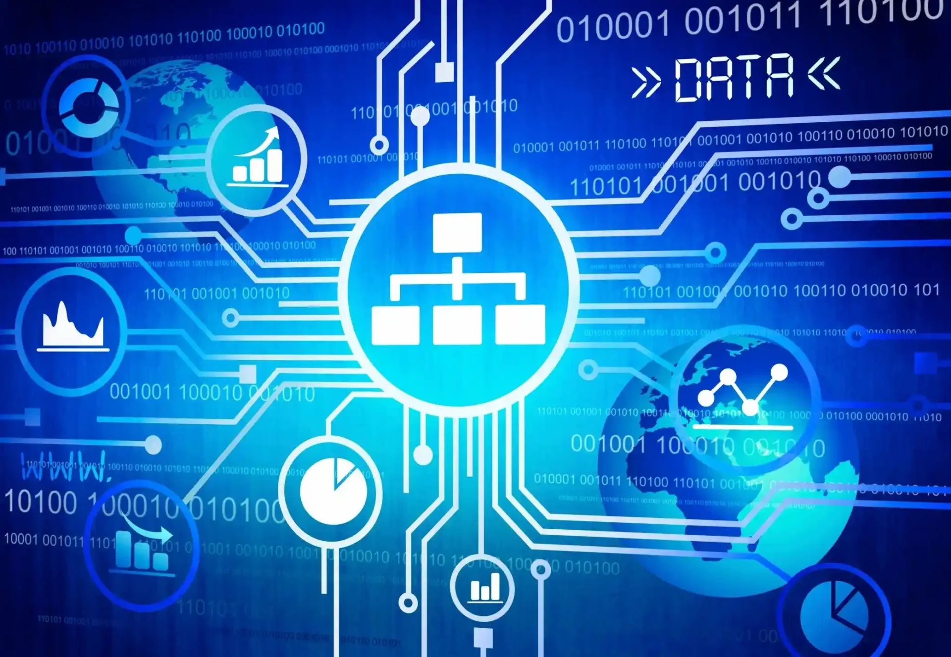 Data analysts reviewing marketing campaign performance reports and credit data visualizations